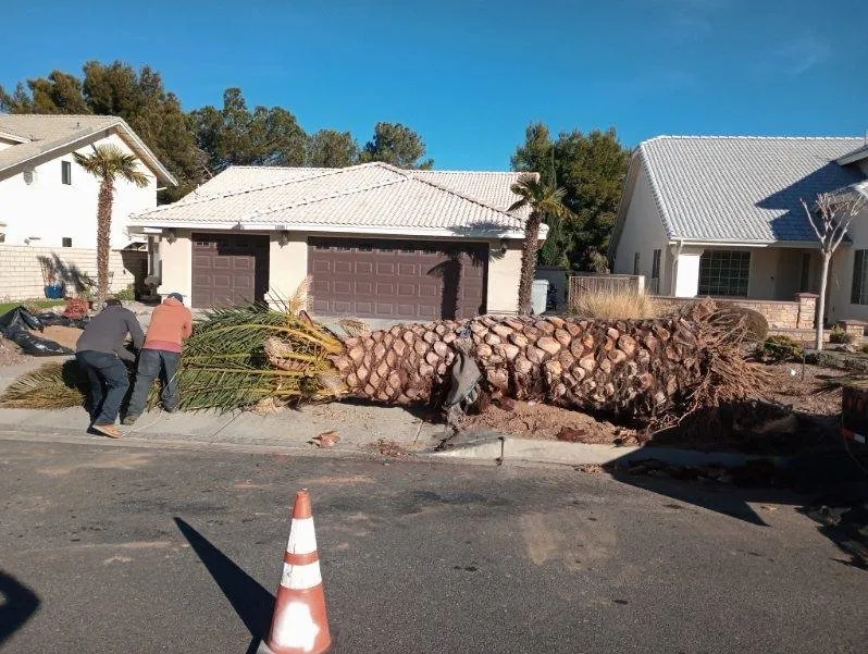 Expert lawn care service for residential properties across Victorville, CA - Hanna’s Nursery N Feed