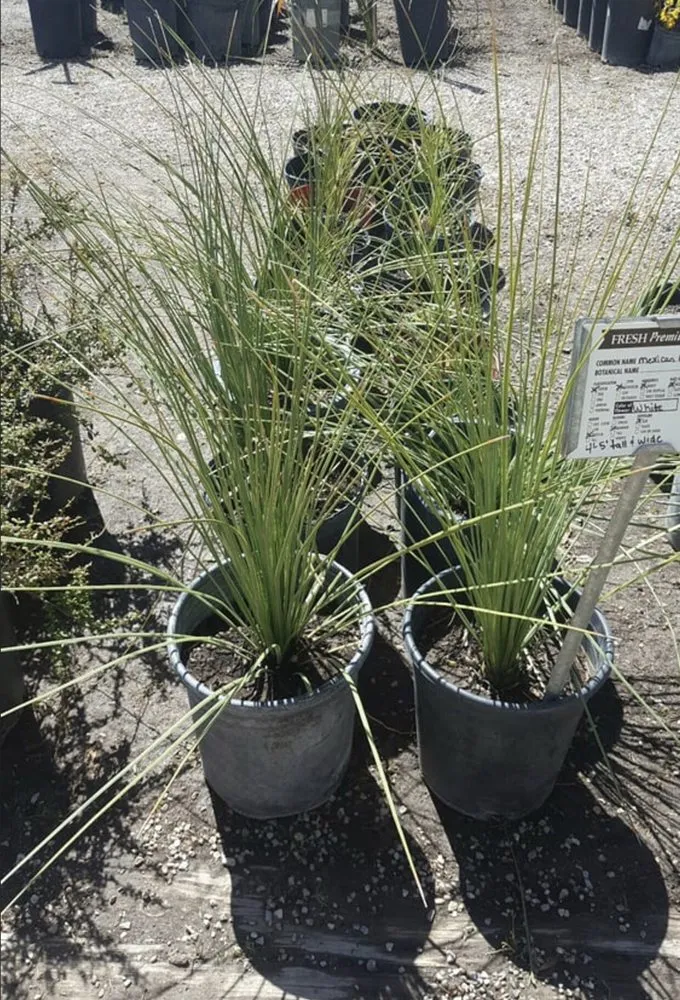 Reliable landscaping services in Victorville, CA - Hanna’s Nursery N Feed