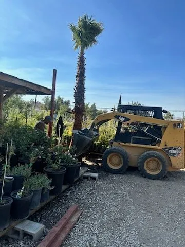 Local residential landscaping experts serving Victorville, CA - Hanna’s Nursery N Feed