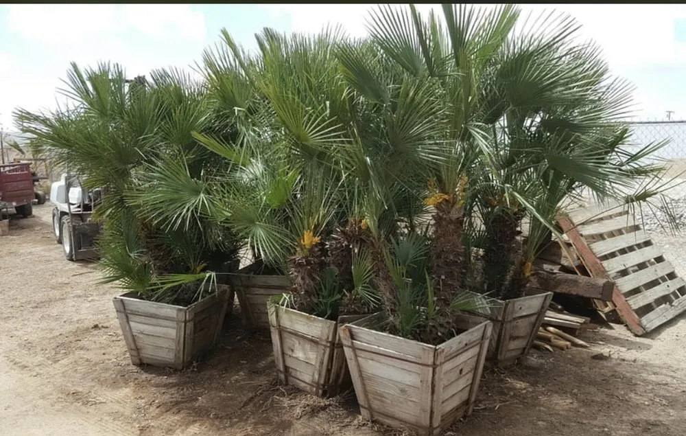 Custom yard maintenance for homes across Victorville, CA - Hanna’s Nursery N Feed