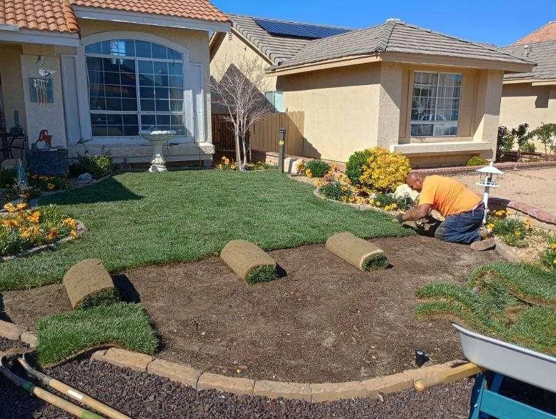 Expert lawn care service with custom design in Victorville, CA by Hanna’s Nursery N Feed
