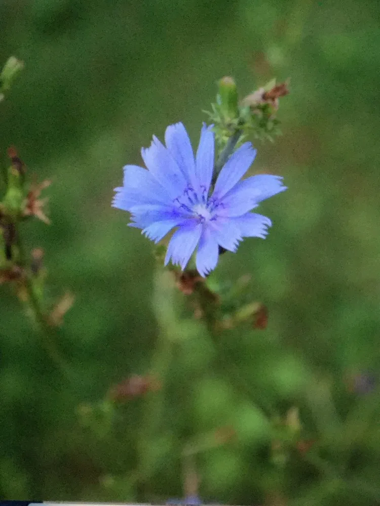 Reliable residential landscaping in Ardmore, PA by Hannigan Landscaping