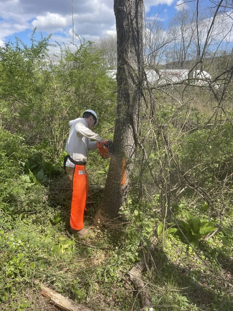 Local lawn mowing service experts serving Charleston, SC - Hannum’s Home Improvement