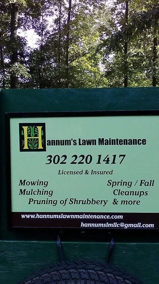 Reliable yard cleanup service in Millsboro, DE by Hannum's Lawn Maintenance