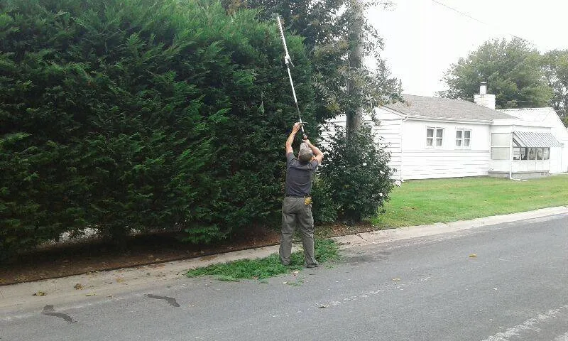 Expert lawn mowing service experts serving Millsboro, DE - Hannum's Lawn Maintenance