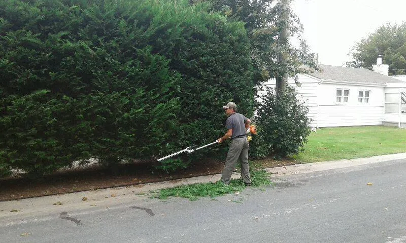 Affordable landscape design with custom design across Millsboro, DE - Hannum's Lawn Maintenance