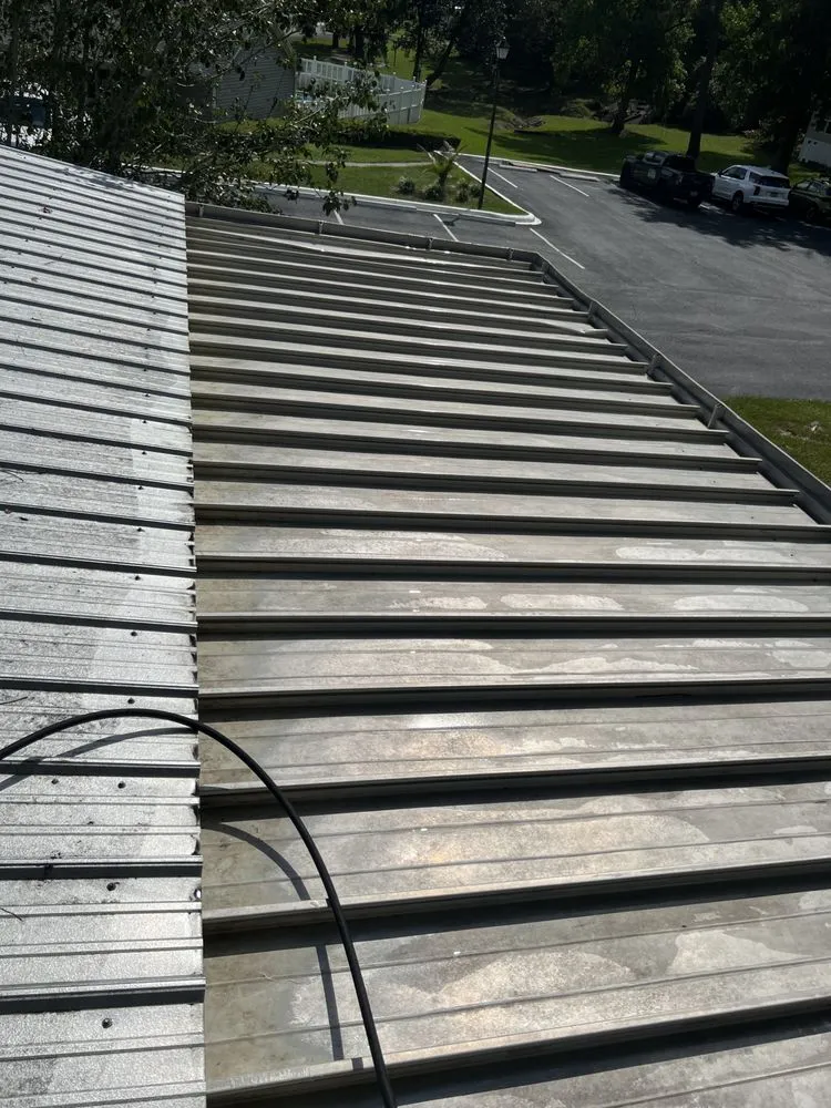 Expert landscape installation in Tallahassee, FL - Hanoi Does it All