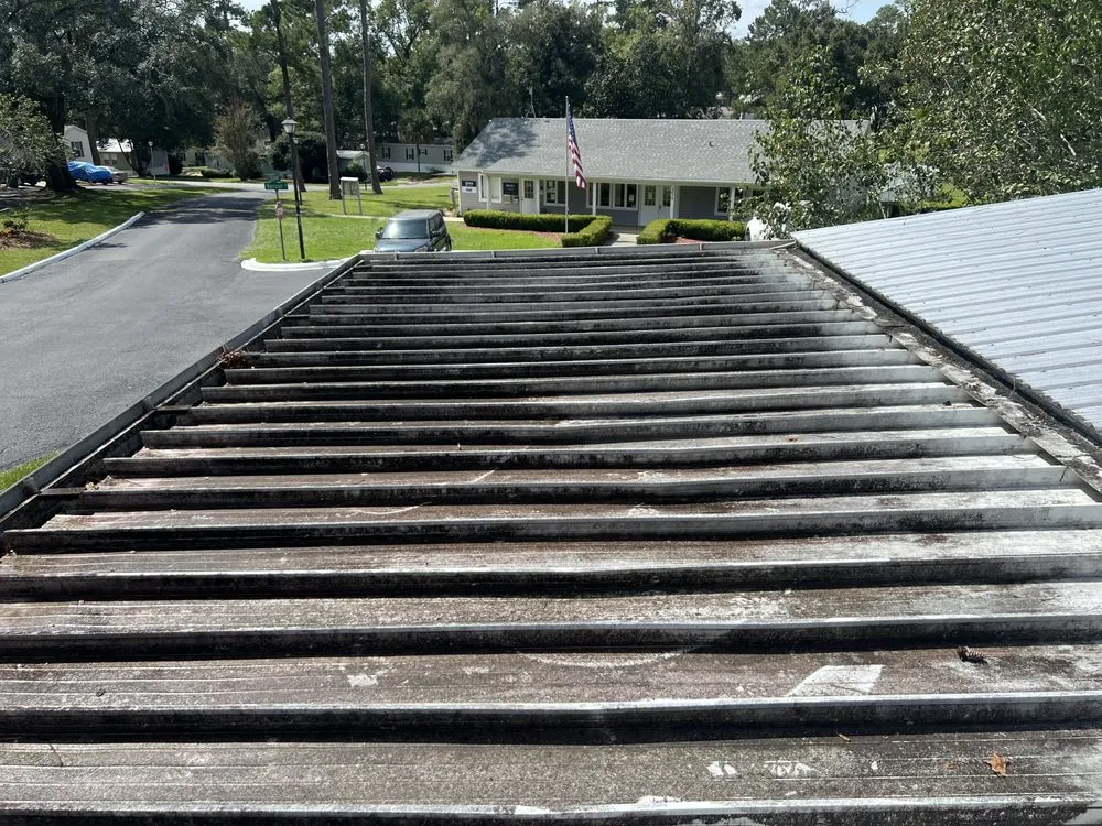 Reliable residential landscaping near you in Tallahassee, FL by Hanoi Does it All