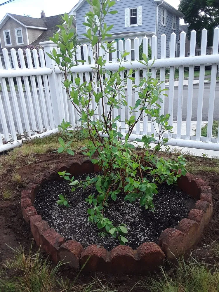 Top-rated yard cleanup service in Hanover, MA by Hanover Landscape And Garden Center