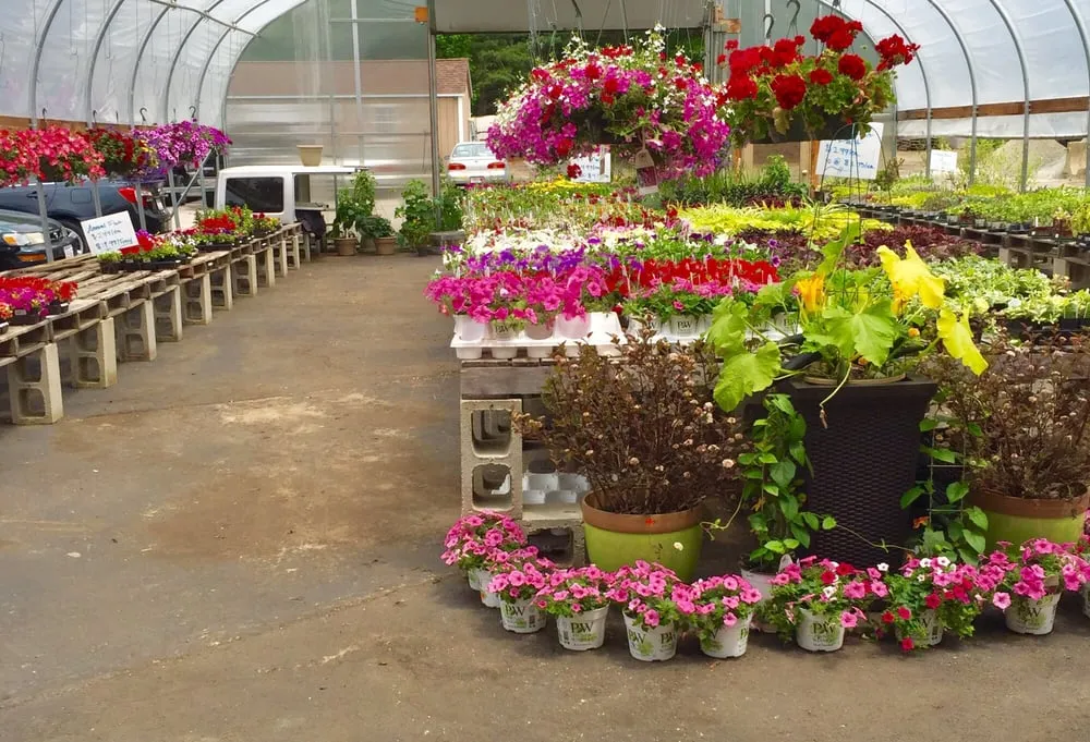 Custom lawn mowing service for residential properties in Hanover, MA by Hanover Landscape And Garden Center