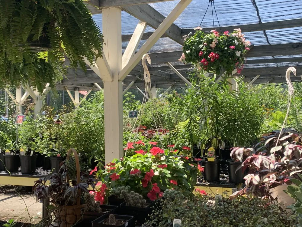 Expert lawn mowing service with custom design in Ashland, VA by Hanover Plant Farm