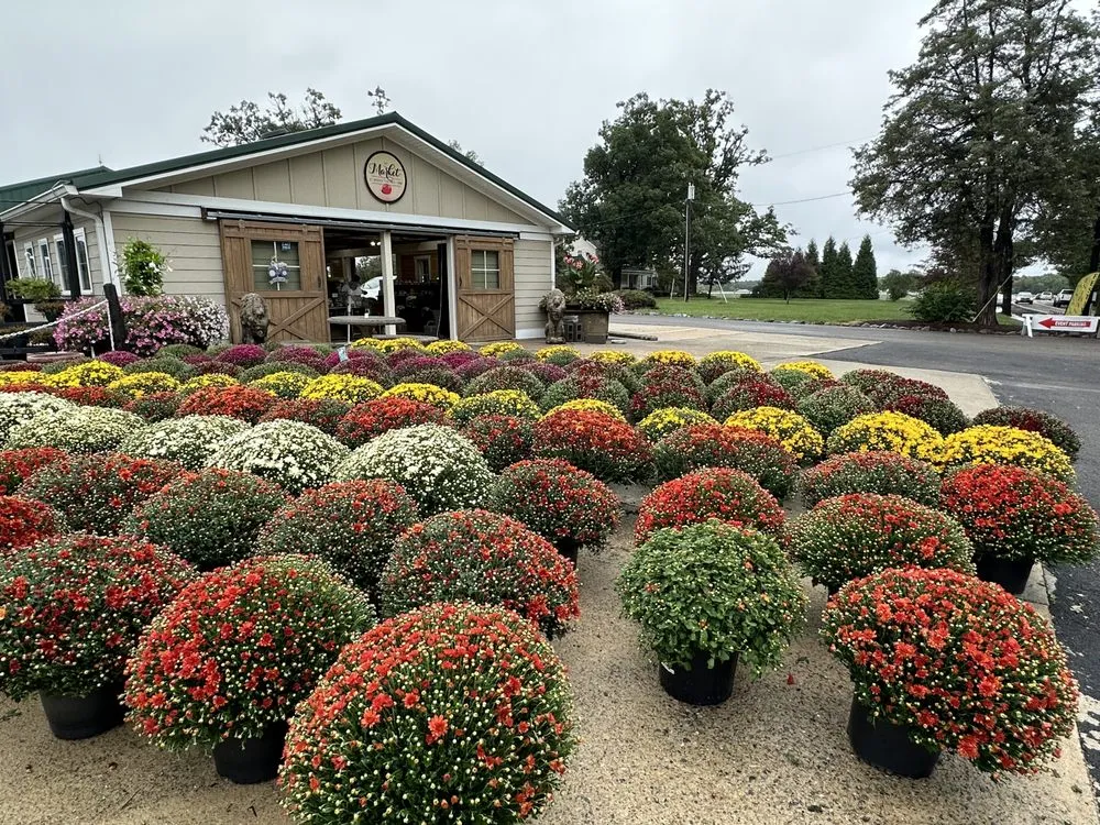 Custom landscaping services in Ashland, VA by Hanover Plant Farm