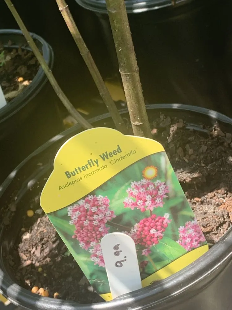 Local landscaping services in Ashland, VA - Hanover Plant Farm