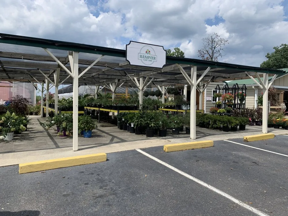 Local yard maintenance near you across Ashland, VA - Hanover Plant Farm