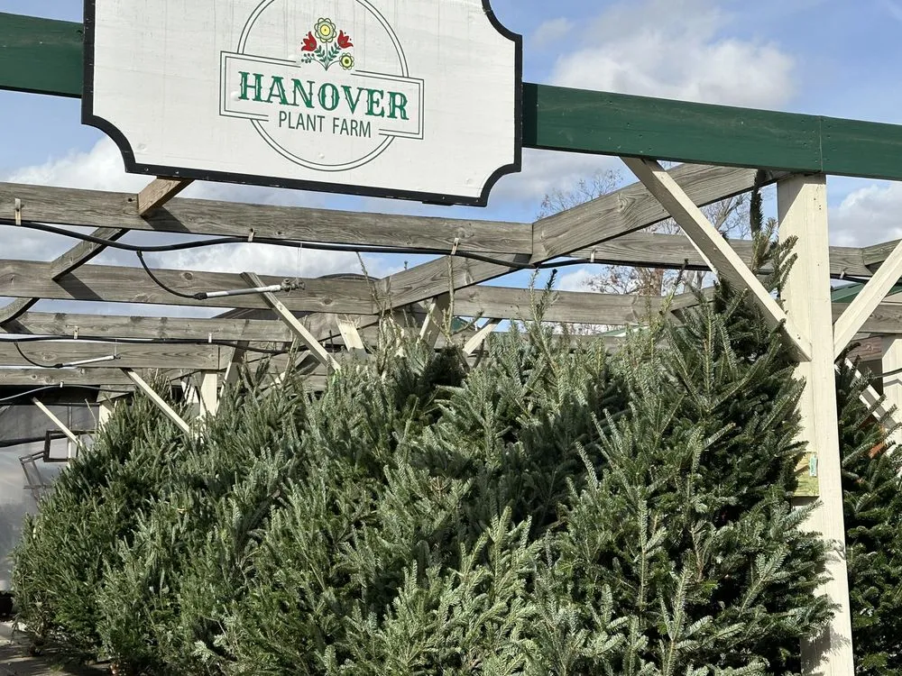 Top-rated landscaping services in Ashland, VA - Hanover Plant Farm