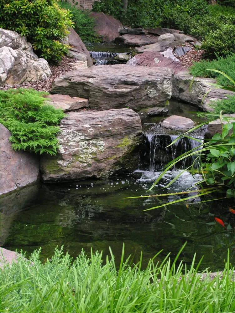 Professional lawn care service in Manheim, PA - Hanselman