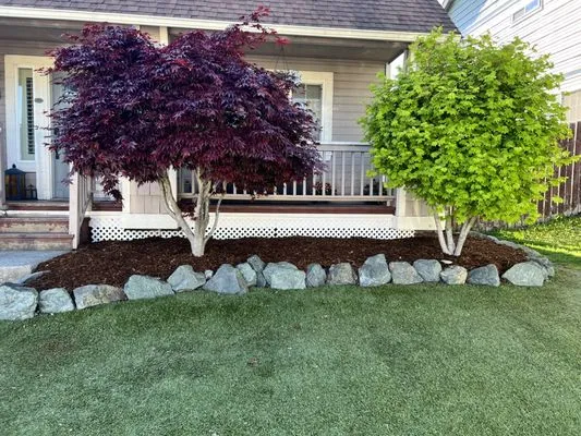 Hanselman Tree Service & Landscaping