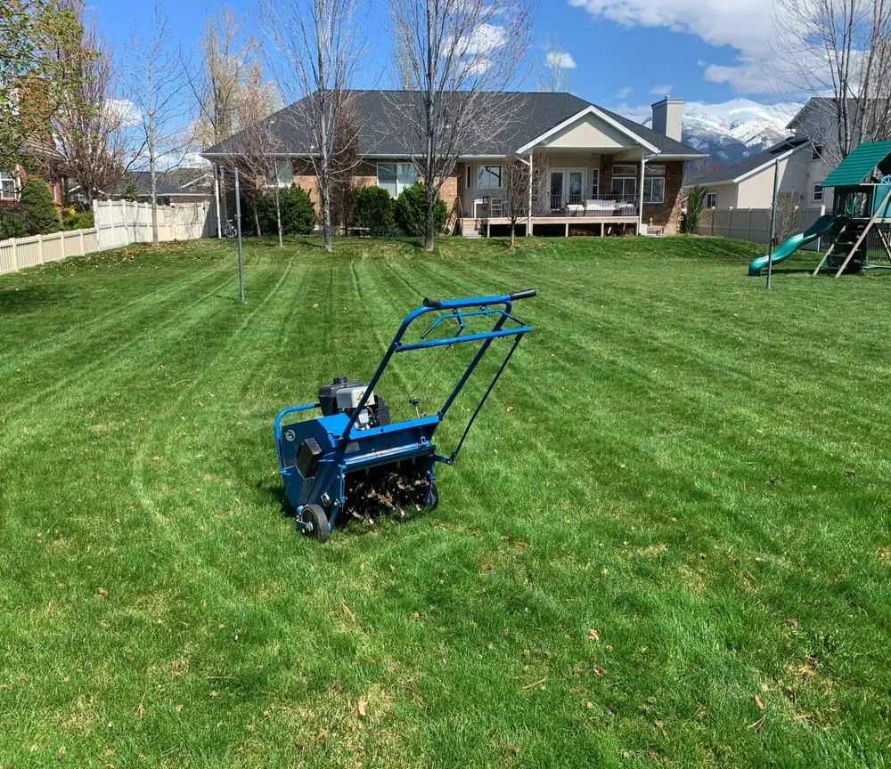 Custom yard maintenance for homes across Layton, UT - Hansen & Sons Services