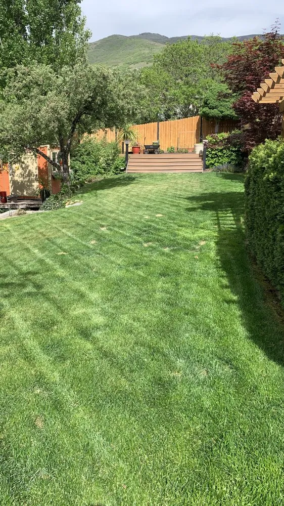 Reliable landscape installation in Layton, UT by Hansen & Sons Services