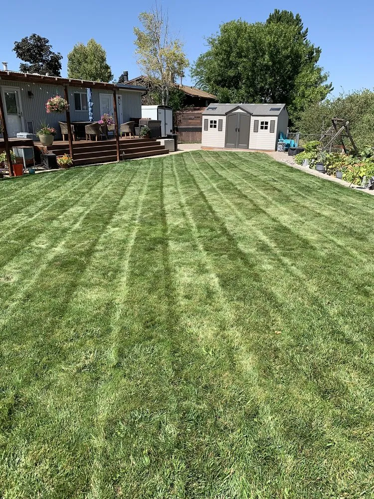 Professional landscaping services for outdoor upgrades in Layton, UT by Hansen & Sons Services