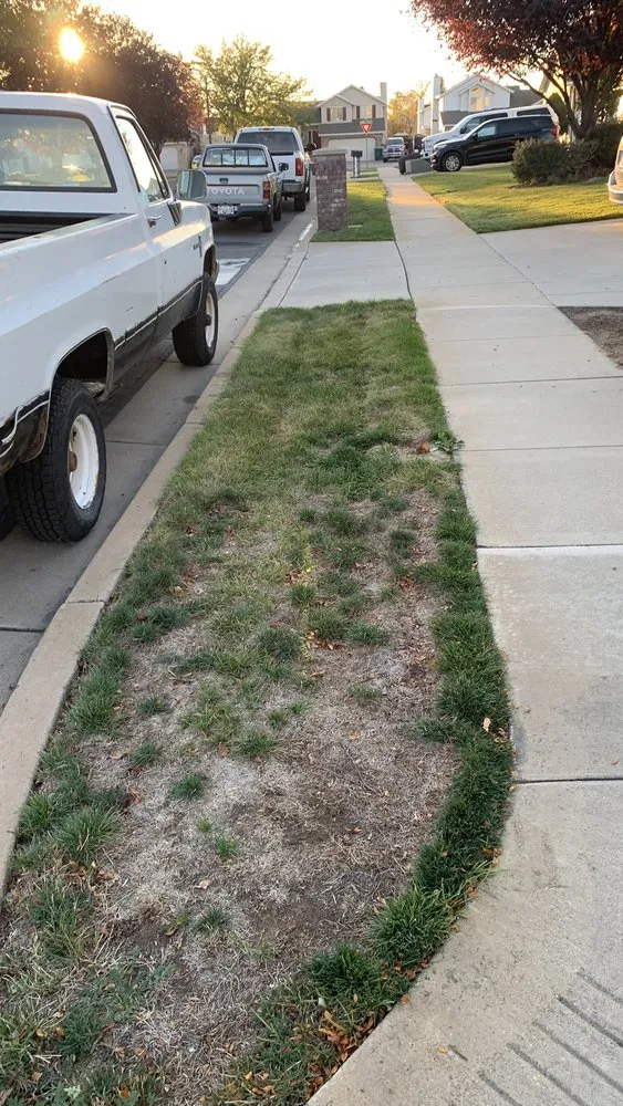 Custom landscape installation in Layton, UT by Hansen & Sons Services