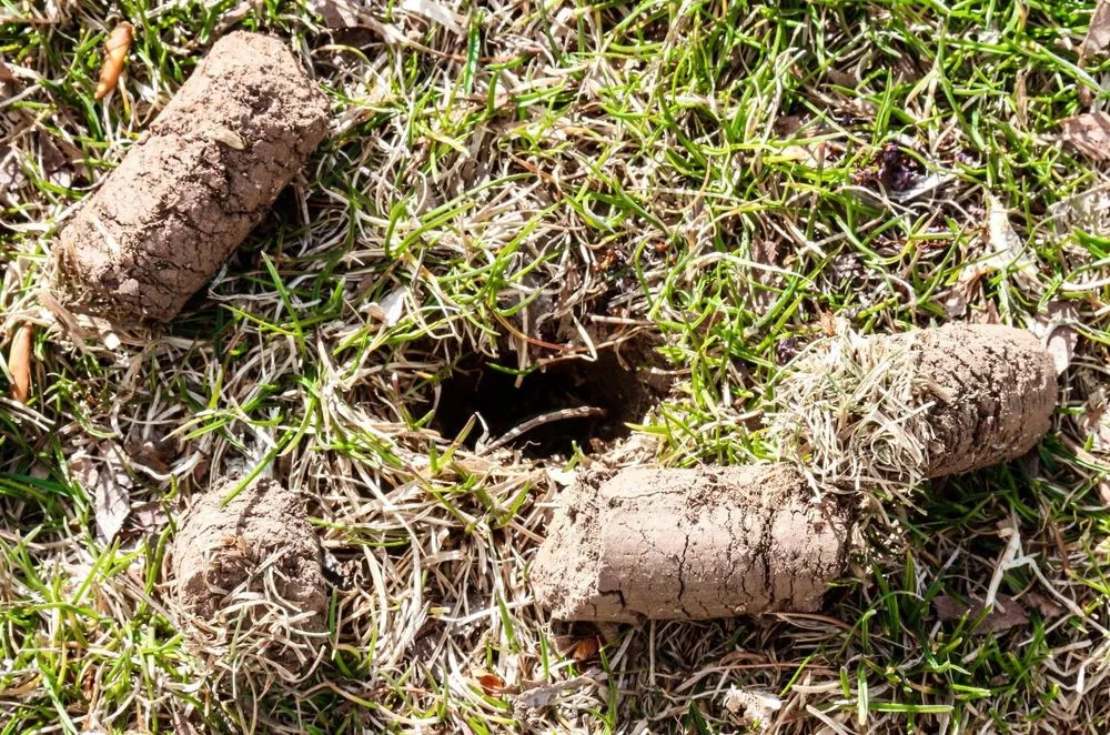 Expert landscape installation in Layton, UT by Hansen & Sons Services