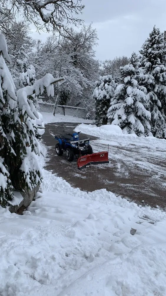 Reliable yard cleanup service in Layton, UT - Hansen & Sons Services