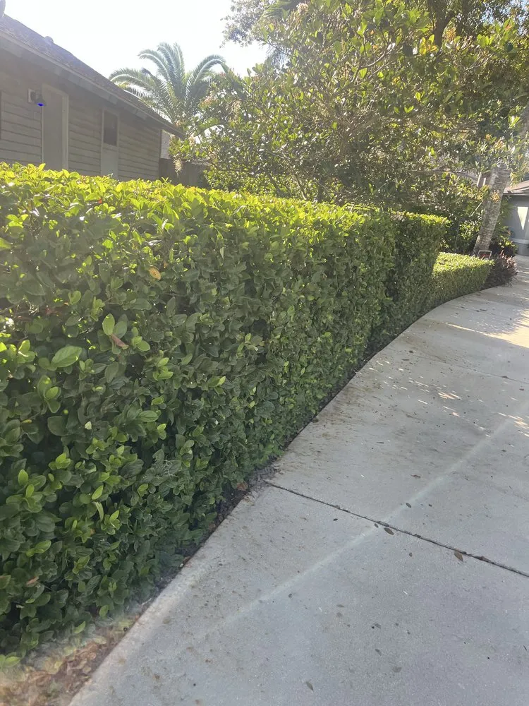 Professional landscape design for year-round maintenance across Sarasota, FL - Hansen Lawn and Landscape