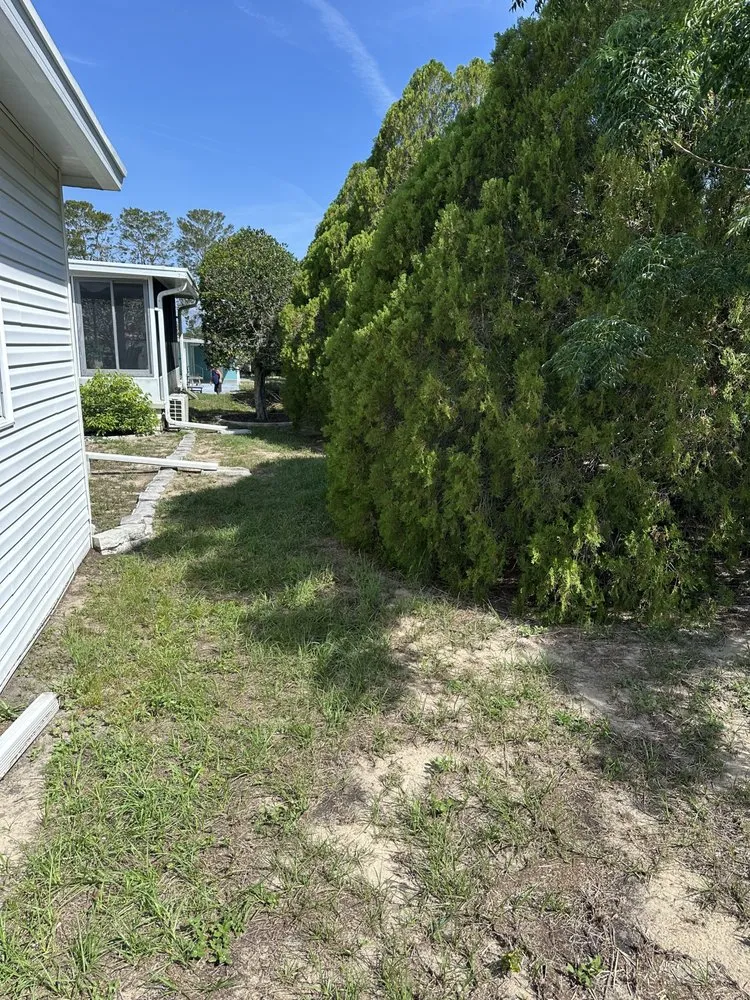 Trusted landscape installation in Brooksville, FL - Hansen Lawn Care