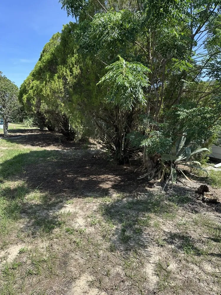 Local yard maintenance for residential properties across Brooksville, FL - Hansen Lawn Care