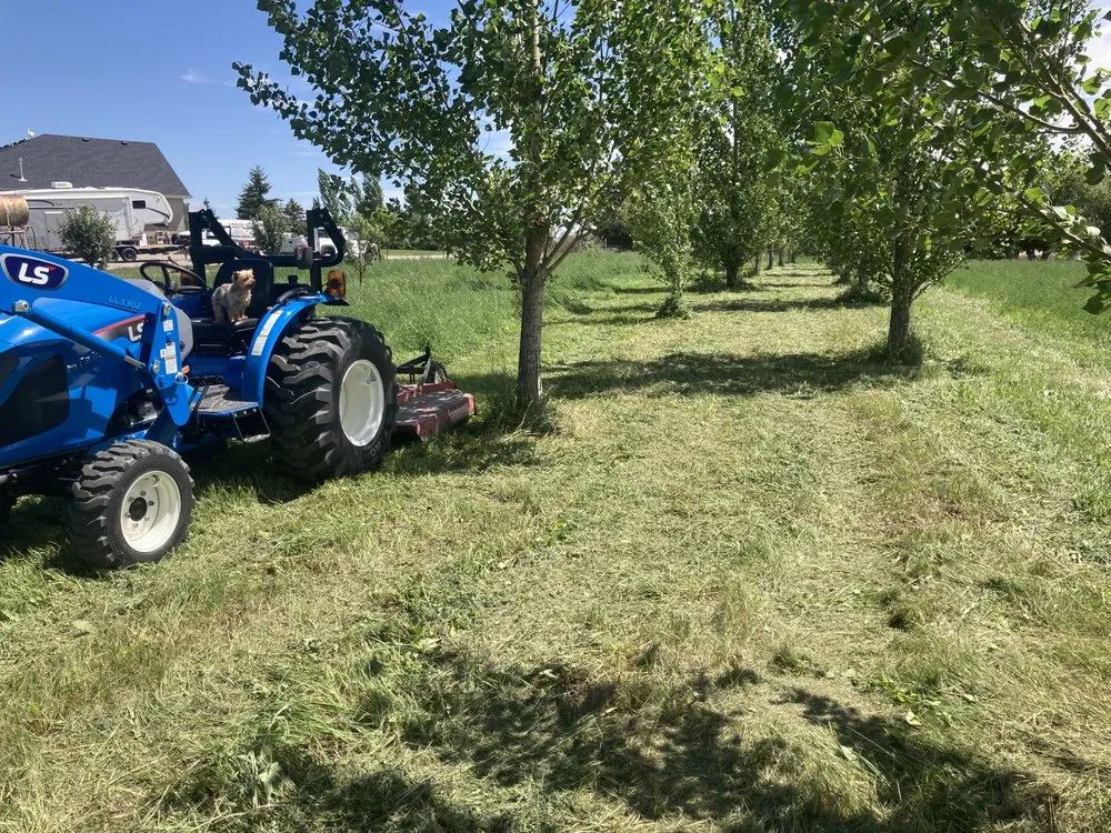 Trusted lawn care service in Blackfoot, ID - Hansen Property Maintenance