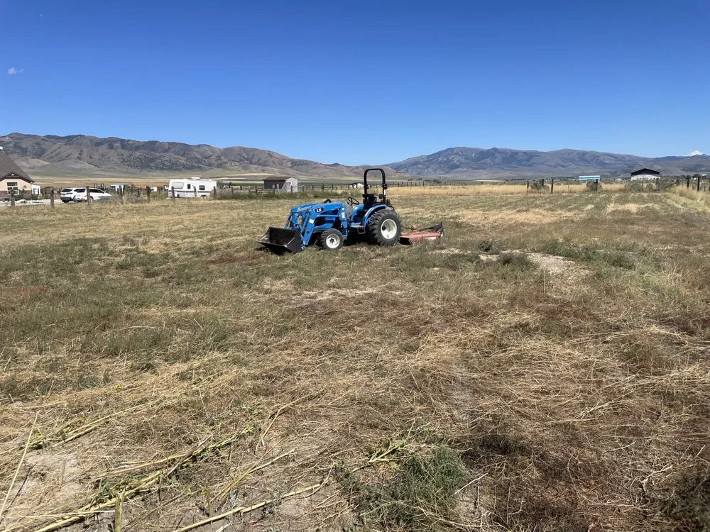 Reliable yard maintenance experts serving Blackfoot, ID - Hansen Property Maintenance