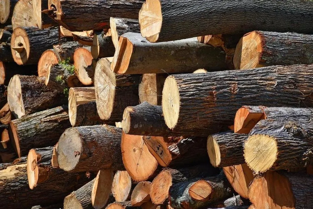 Professional landscape installation for homes in Abington, MA by Hansen Tree