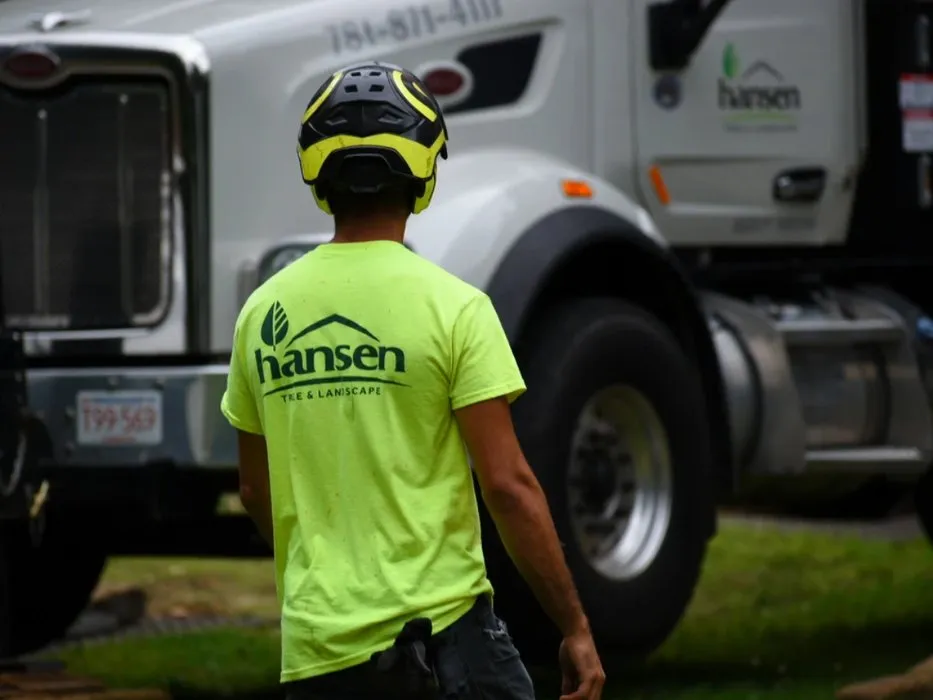 Local lawn care service in Abington, MA by Hansen Tree