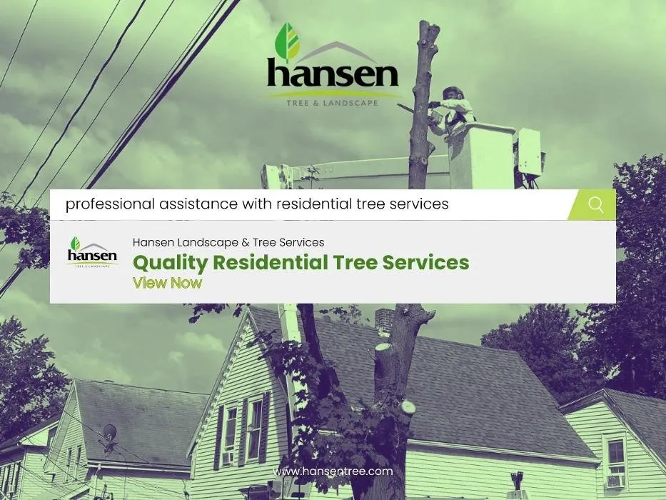 Custom landscape design in Abington, MA by Hansen Tree