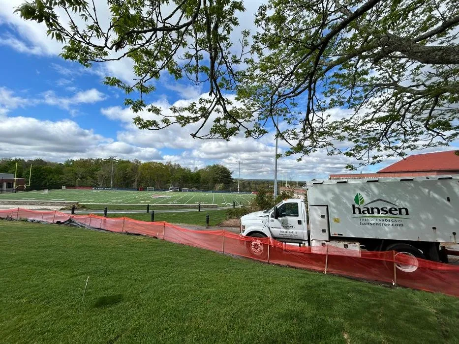 Expert landscaping services experts serving Abington, MA - Hansen Tree