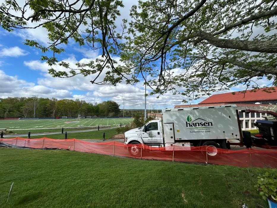 Reliable lawn care service in Abington, MA - Hansen Tree