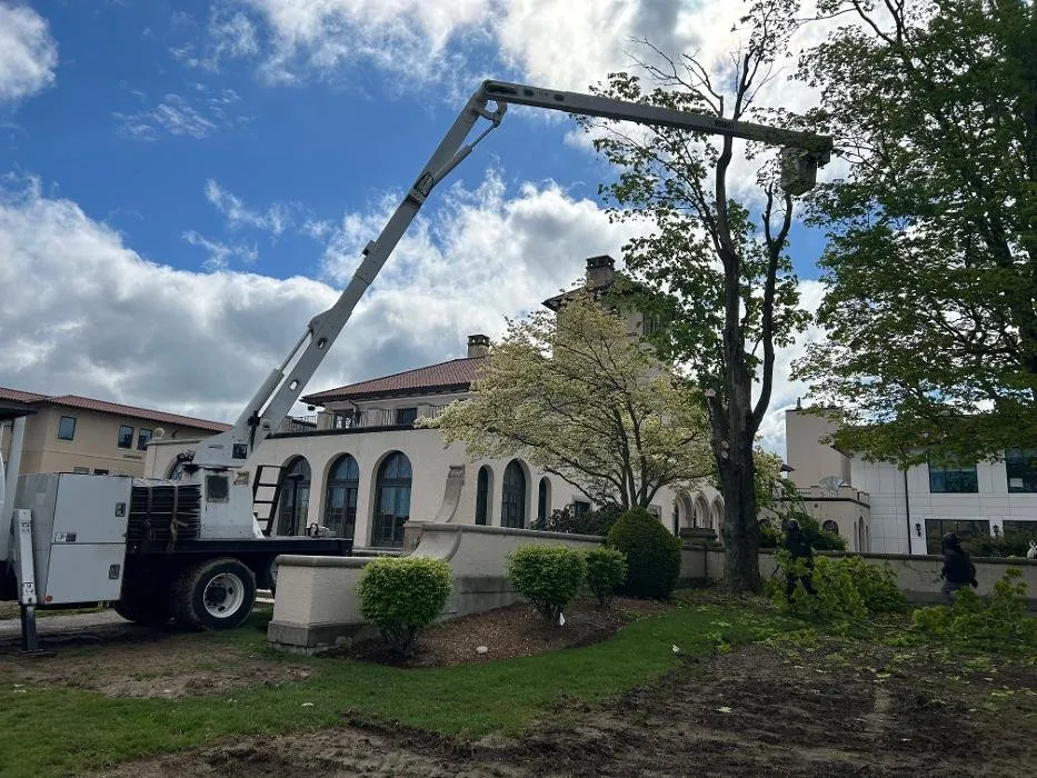 Expert lawn care service experts serving Abington, MA - Hansen Tree