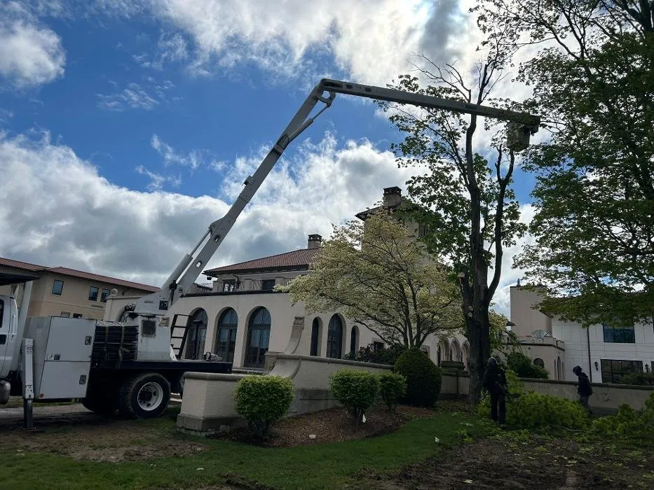 Professional landscaping services with custom design in Abington, MA by Hansen Tree