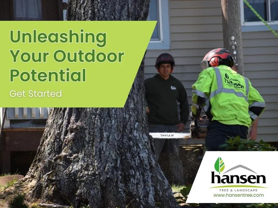 Expert yard maintenance for outdoor upgrades across Abington, MA - Hansen Tree