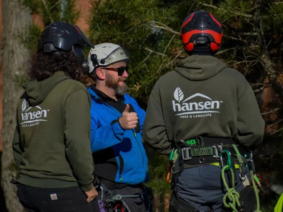 Reliable residential landscaping for residential properties across Abington, MA - Hansen Tree