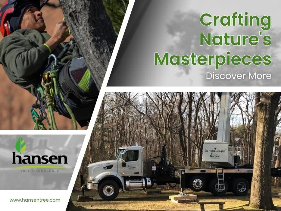 Custom garden landscaping experts serving Abington, MA - Hansen Tree