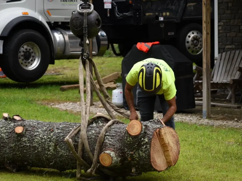 Expert garden landscaping experts serving Abington, MA - Hansen Tree