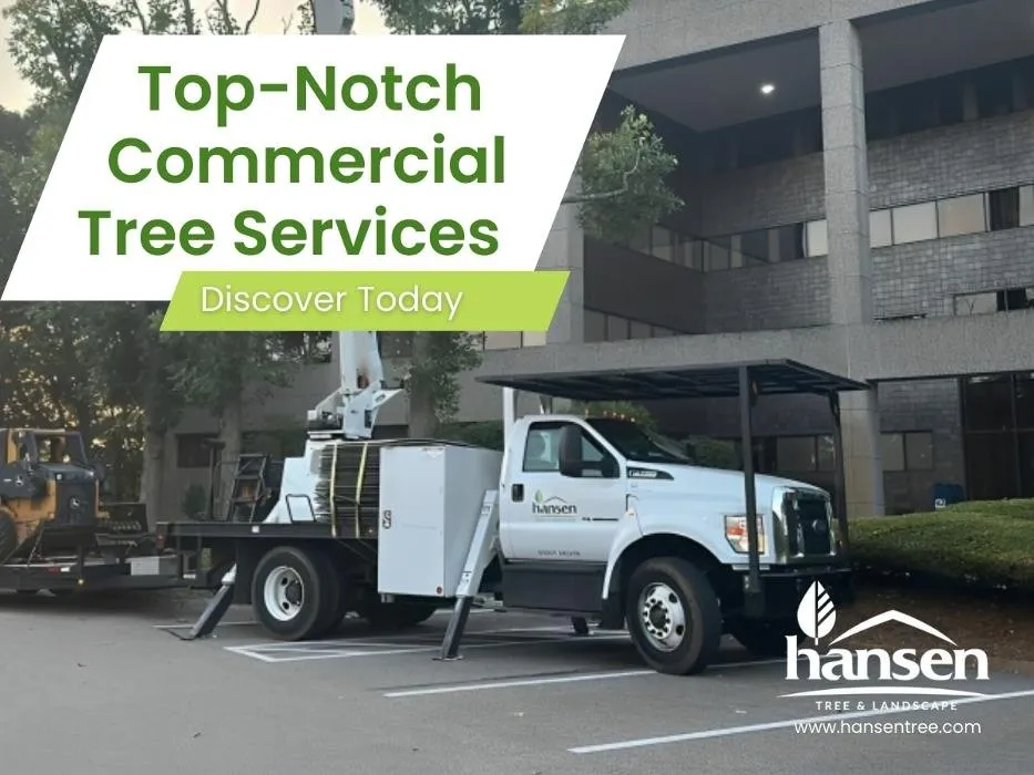 Custom residential landscaping experts serving Abington, MA - Hansen Tree