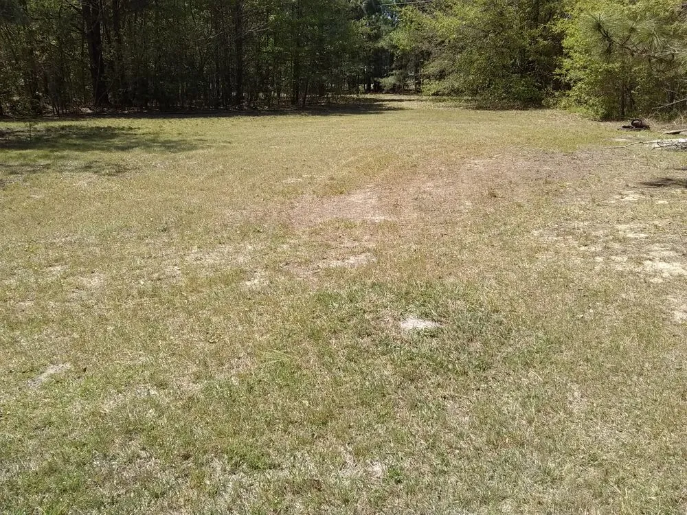 Expert yard cleanup service experts serving Marston, NC - Hansen's General Lawn Care