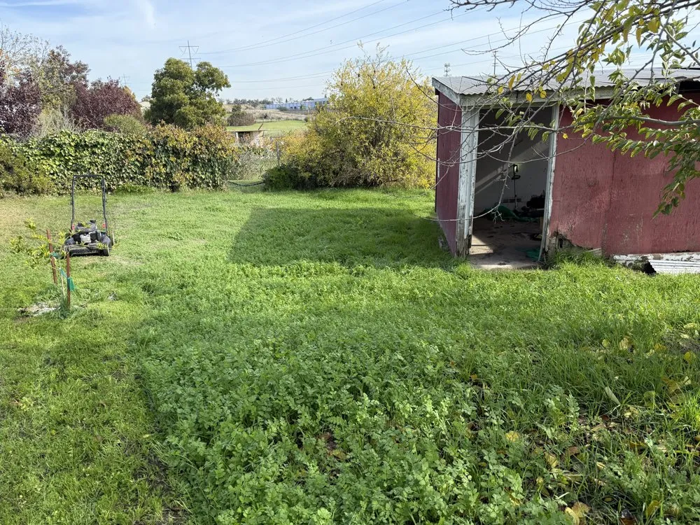 Reliable landscaping services experts serving Citrus Heights, CA - Hansens Hauling And Landscape