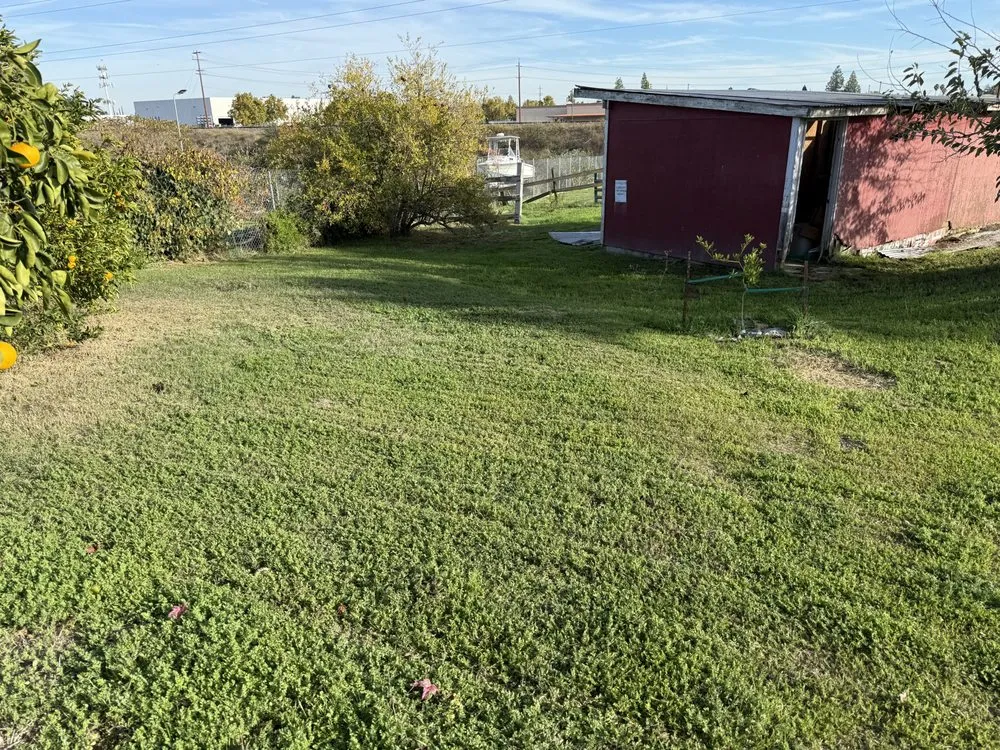 Trusted yard cleanup service with custom design in Citrus Heights, CA by Hansens Hauling And Landscape