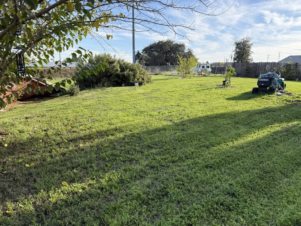 Expert garden landscaping in Citrus Heights, CA - Hansens Hauling And Landscape