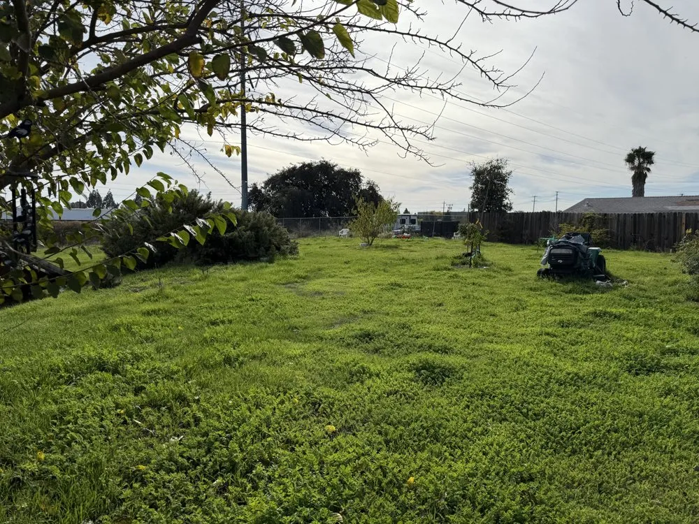 Professional landscaping services in Citrus Heights, CA by Hansens Hauling And Landscape