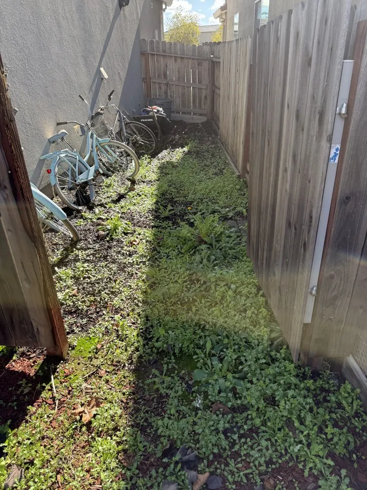 Trusted landscape installation for residential properties across Citrus Heights, CA - Hansens Hauling And Landscape